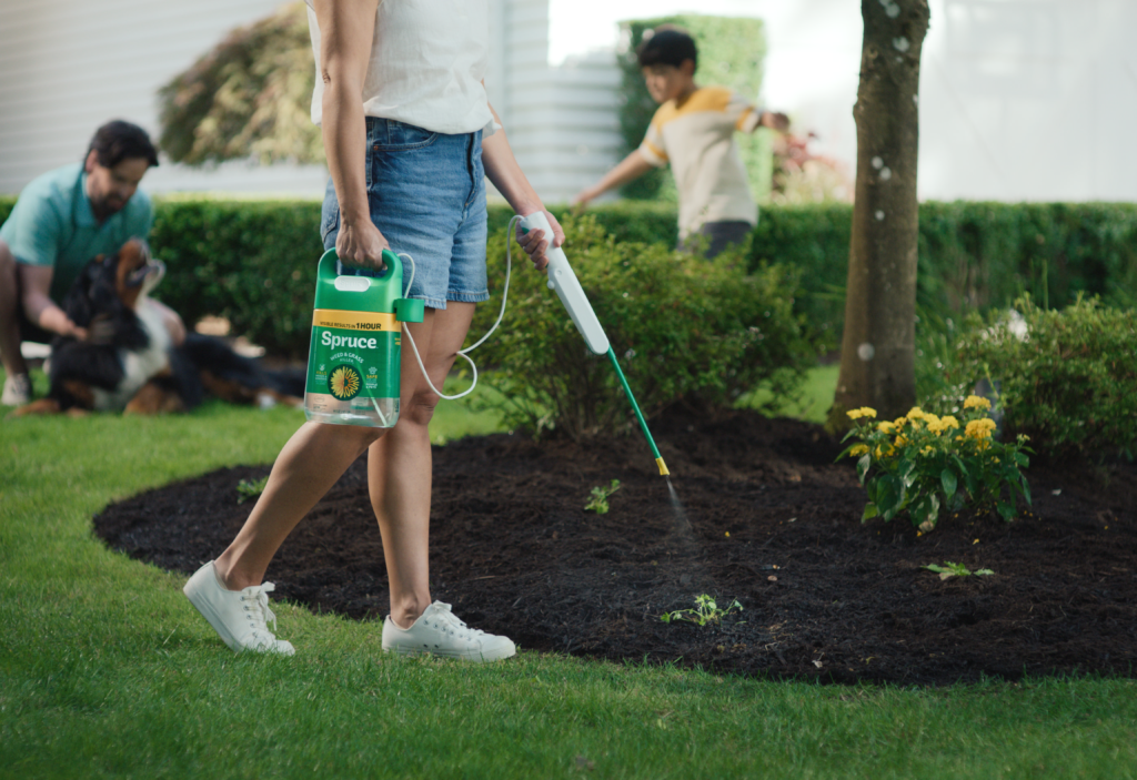 Creating Pet-Safe Outdoor Spaces You Both Love