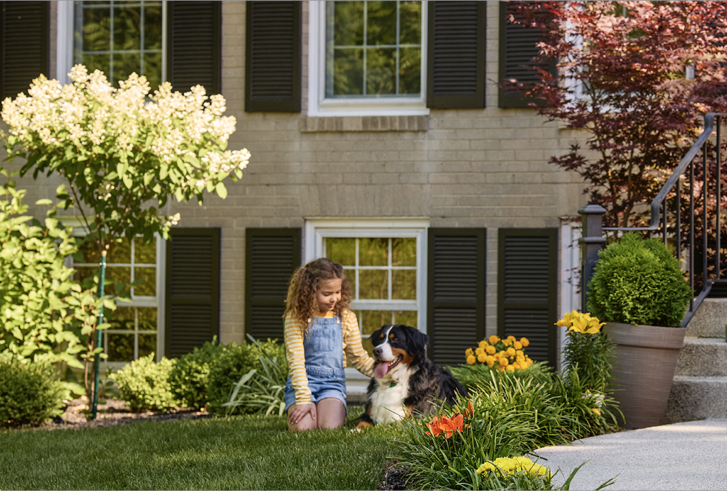 Create Fear-Free Backyard Bliss for Your Dog